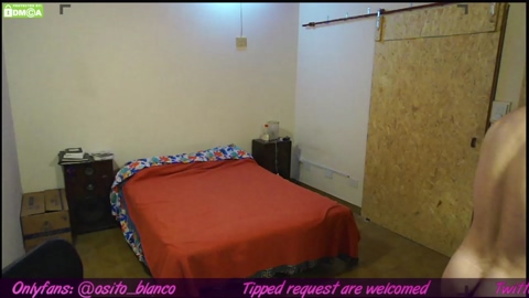 osito_blanco  08-09-2022